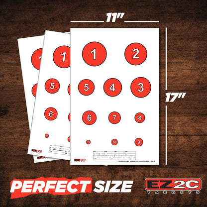 40 EZ2C Targets: Four Fun Game Styles Paper Targets 11"x17" USA MADE